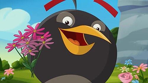 Bombina Bombina