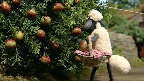 Scrumping Scrumping