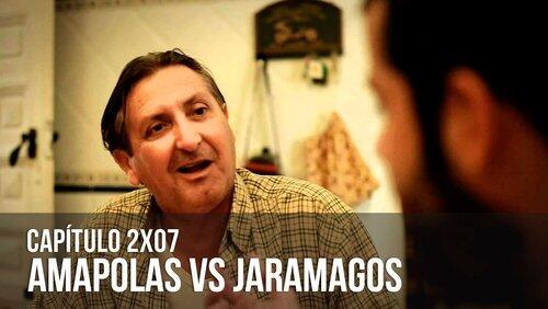 Amapolas vs Jaramagos Amapolas vs Jaramagos