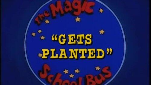 Gets Planted (Photosynthesis)