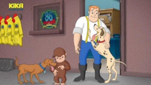 Where's the Firedog? Where's the Firedog?