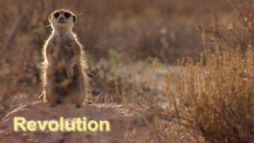 Revolution Revolution