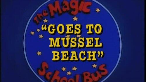 Goes to Mussel Beach (Tidal Zones)
