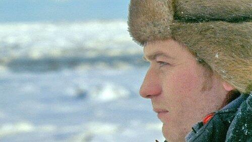 The Polar Bears of Churchill with Ewan McGregor