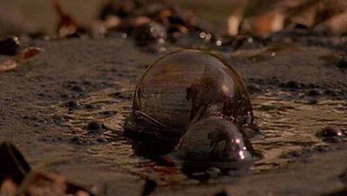Ice Age Death Trap Ice Age Death Trap