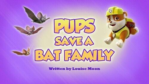 Pups Save a Bat Family Pups Save a Bat Family