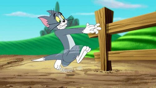 Tom Cat, Superstar