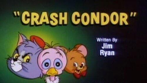 Crash Condor Crash Condor