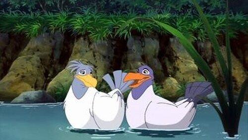 My Fair Gull My Fair Gull