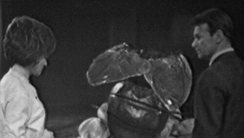 Dangerous Journey (Planet of Giants, Part Two) Dangerous Journey (Planet of Giants, Part Two)