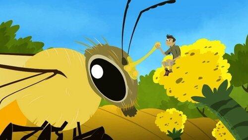 Flight of the Pollinators Flight of the Pollinators