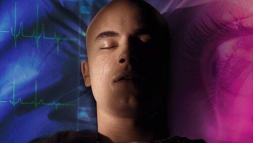 Coma Chameleon