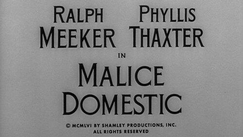Malice Domestic Malice Domestic