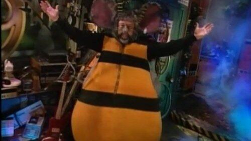 Bees, Beakmania & Earthquakes Bees, Beakmania & Earthquakes