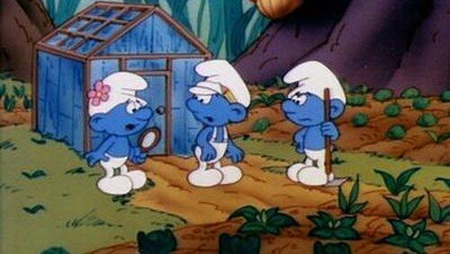 Forget-Me-Smurfs Forget-Me-Smurfs