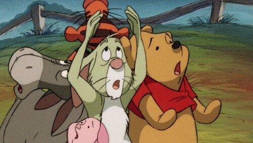 Pooh Skies Pooh Skies