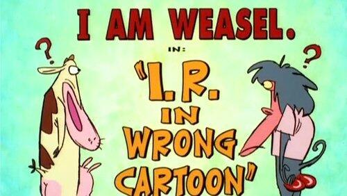 I.R. in Wrong Cartoon I.R. in Wrong Cartoon