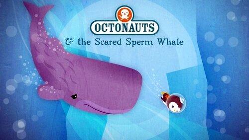 The Scared Sperm Whale The Scared Sperm Whale