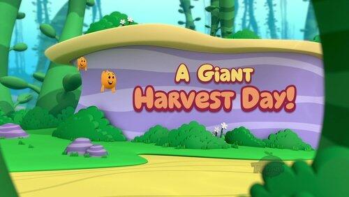 A Giant Harvest Day! A Giant Harvest Day!