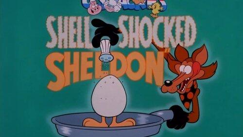Shell Shocked Sheldon Shell Shocked Sheldon