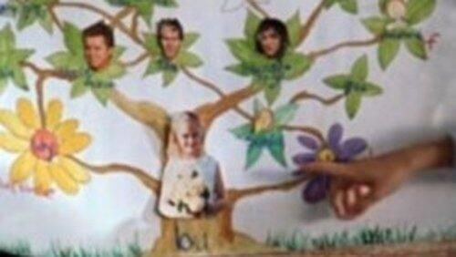 My Family Up a Tree My Family Up a Tree