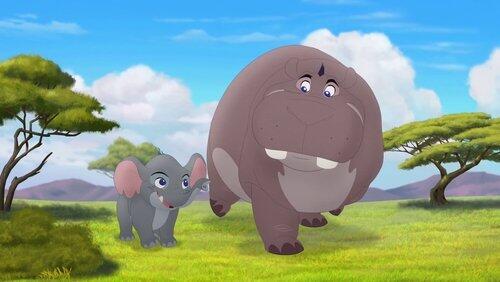 Follow that Hippo Follow that Hippo