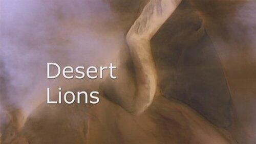Desert Lions Desert Lions