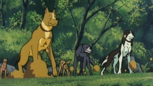Demon dogs! The three Kai brothers!