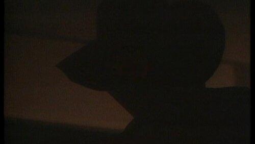 The Shadow Man The Shadow Man