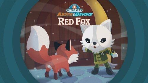 Red Fox Red Fox