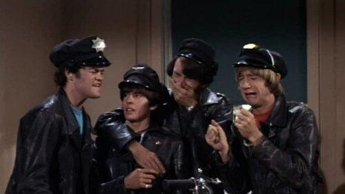Wild Monkees Wild Monkees