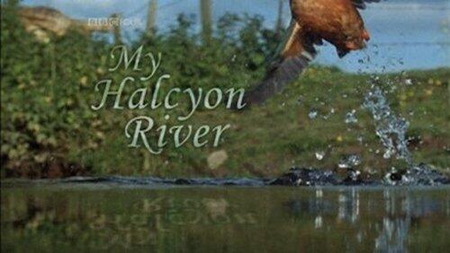 My Halcyon River My Halcyon River