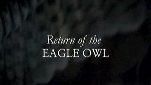 Return of the Eagle Owl Return of the Eagle Owl