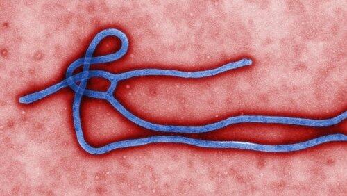 Ebola Outbreak & Hunting Boko Haram Ebola Outbreak & Hunting Boko Haram