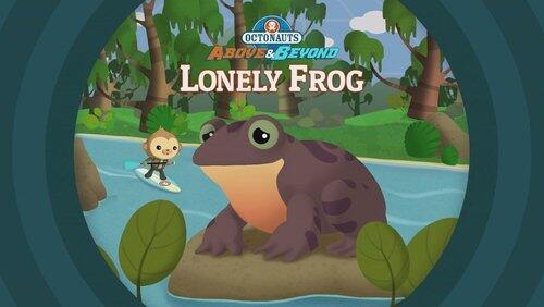 Lonely Frog Lonely Frog