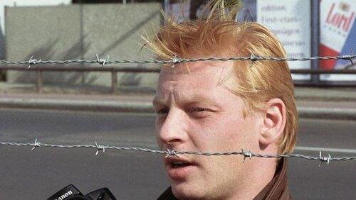 Arme Schweine Arme Schweine