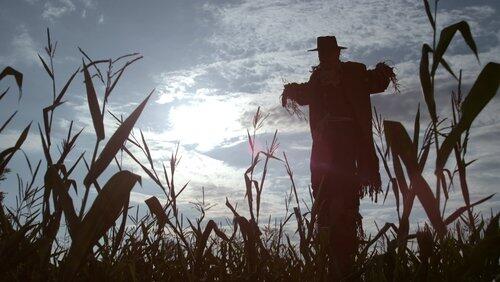 Scarecrow Scarecrow