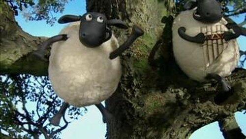 Shaun Encounters Shaun Encounters