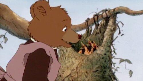 Mother Bear's Robin Mother Bear's Robin