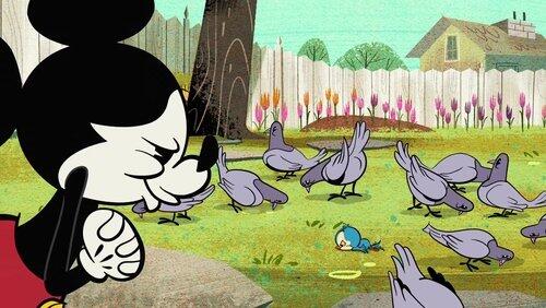 Feed the Birds Feed the Birds