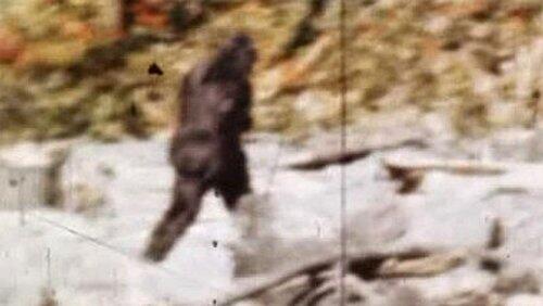 Bigfoot Bigfoot