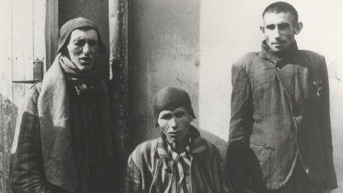 Memory of the Camps