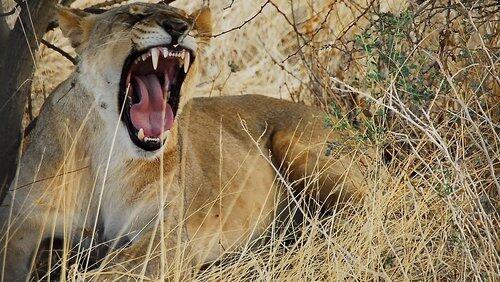 Namibia (2) Namibia (2)