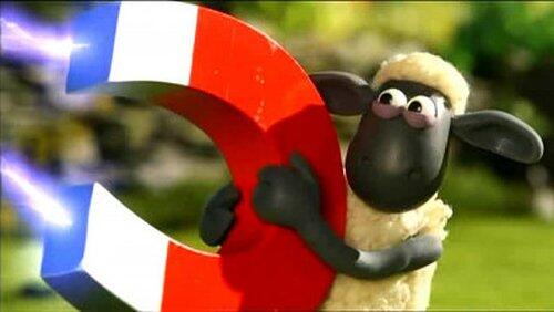 The Magpie The Magpie