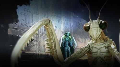 The Mantis & Insectoids The Mantis & Insectoids