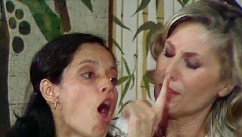 Episódio 54