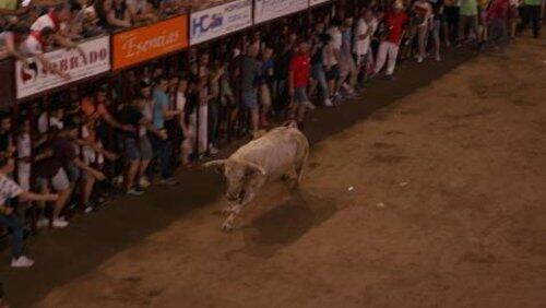 Bulls: Episode 4 Bulls: Episode 4