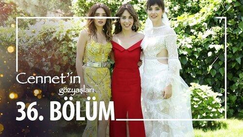 36. Bölüm 36. Bölüm
