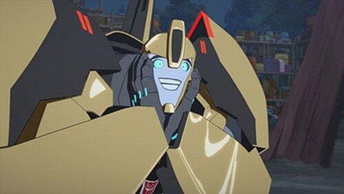 Adventures in Bumblebee-Sitting! Adventures in Bumblebee-Sitting!