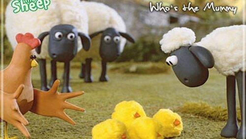 Sheep on the Loose Sheep on the Loose
